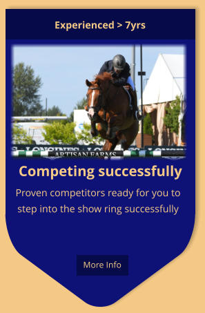 Competing successfully Proven competitors ready for you to step into the show ring successfully Experienced > 7yrs  More Info