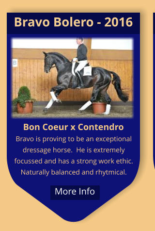 Bon Coeur x Contendro Bravo is proving to be an exceptional dressage horse.  He is extremely focussed and has a strong work ethic.  Naturally balanced and rhytmical. Bravo Bolero - 2016  More Info