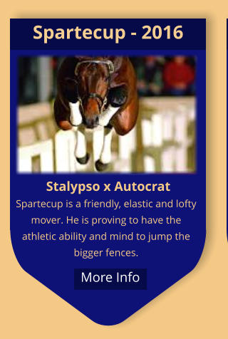 Stalypso x Autocrat Spartecup is a friendly, elastic and lofty mover. He is proving to have the athletic ability and mind to jump the bigger fences.   Spartecup - 2016  More Info