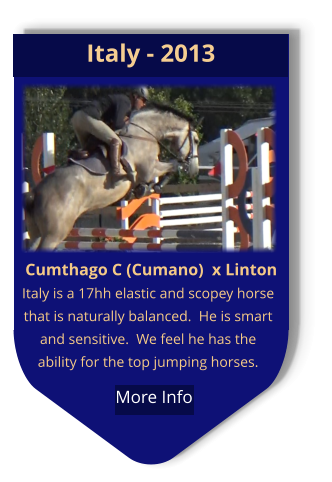 Cumthago C (Cumano)  x Linton Italy is a 17hh elastic and scopey horse that is naturally balanced.  He is smart and sensitive.  We feel he has the ability for the top jumping horses. Italy - 2013  More Info
