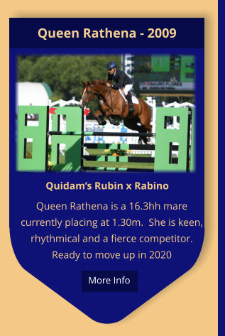 Quidam’s Rubin x Rabino Queen Rathena is a 16.3hh mare currently placing at 1.30m.  She is keen, rhythmical and a fierce competitor.  Ready to move up in 2020 Queen Rathena - 2009  More Info
