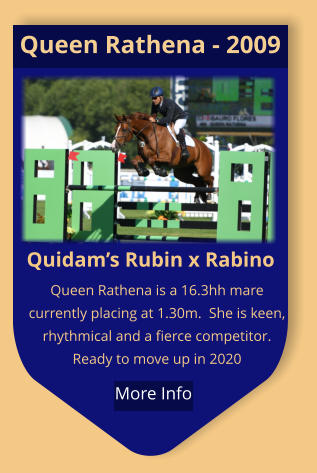 Quidam’s Rubin x Rabino Queen Rathena is a 16.3hh mare currently placing at 1.30m.  She is keen, rhythmical and a fierce competitor.  Ready to move up in 2020 Queen Rathena - 2009  More Info