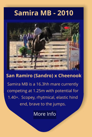 San Ramiro (Sandro) x Cheenook Samira MB is a 16.3hh mare currently competing at 1.25m with potential for 1.40+.  Scopey, rhytmical, elastic hind end, brave to the jumps.  Samira MB - 2010  More Info