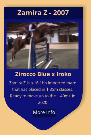 Zirocco Blue x Iroko Zamira Z is a 16.1hh imported mare that has placed in 1.35m classes.  Ready to move up to the 1.40m+ in 2020 Zamira Z - 2007  More Info